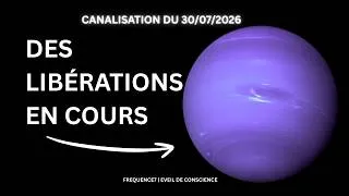 Miniature : Canalisation du 30/07/2026: Des libérations sont en cours parmi vous.