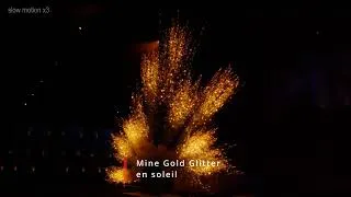 Miniature : Mine Gold Glitter en soleil  NEXT FX