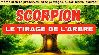 Miniature : ♏️🌳Même si tu te préserves, tu te protèges, autorises toi d’aimer à nouveau… #scorpion #scorpio 