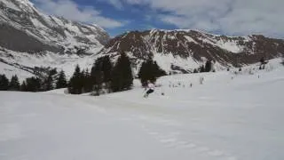 Miniature : chamois ESF Grand Bornand