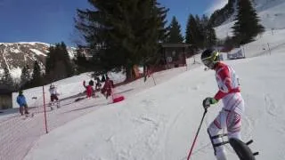 Miniature : CHAMOIS DU 23 FEV 2017 MATIN