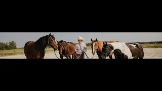 Miniature : Super découverte. Indispensable pour les passionnés de chevaux. Raphaelle Pélissier Horse Helper.