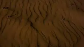 Miniature : BRUIT DE LA MER ASMR ET CHUCHOTEMENT PLAGE