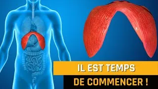 Miniature : Débloquer votre diaphragme : 20 000 raisons de réussir