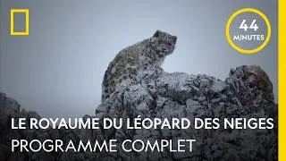 Miniature : Le royaume du léopard des neiges | Programme complet