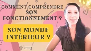 Miniature : Comment comprendre son fonctionnement, son monde intérieur ? Se comprendre et agir sur ses émotions