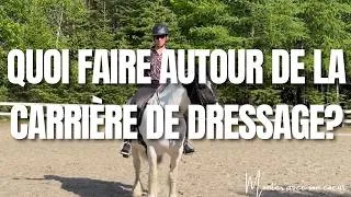 Miniature : Quoi faire autour de la carrière de dressage avant ton test!