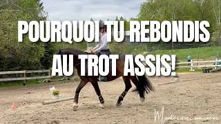Miniature : Pourquoi tu rebondis au trot assis!