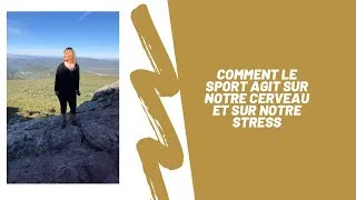 Miniature : Comment le sport impacte notre cerveau et notre stress ?