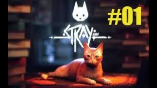 Miniature : STRAY- 01 - PS5