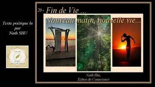 Miniature : 20  -  Fin de vie, nouveau matin, nouvelle vie...