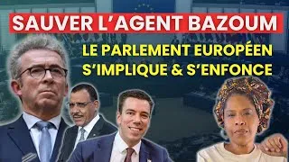 Miniature : Il faut sauver l'agent Bazoum! Comment le parlement européen s'implique et s'enfonce...