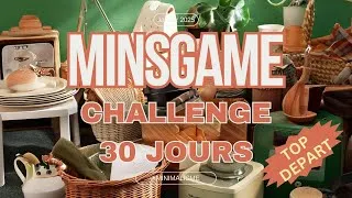 Miniature : Challenge Minimalisme : 30 jours pour 465 objets