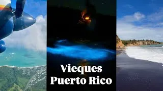 Miniature : Viajé a Vieques en avioneta | Playa Negra y Bahía Bioluminiscente  ¿Valen la pena?
