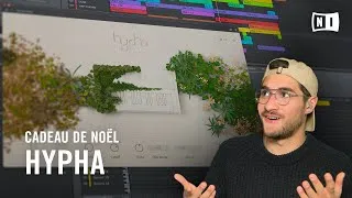 Miniature : CADEAUX : notre nouvel instrument inspirant HYPHA, et plein d’autres surprises | Native Instruments