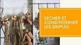 Miniature : Sécher et conditionner les simples