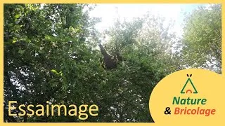 Miniature : essaimage 8 jours après ma visite 😥😕