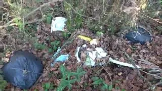 Miniature : Les déchets verts, et ordures dans le ravin