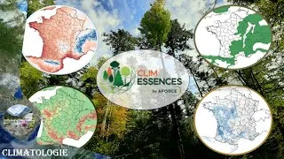 Miniature : ClimEssences : Comprendre le climat et les espèces forestières d’aujourd’hui et de demain🌍🌦️🌳🌲⌛