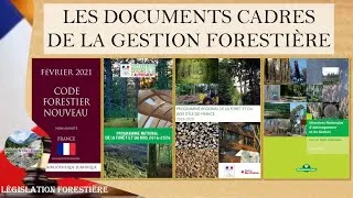 Miniature : Les documents cadres de la gestion forestière - Législation forestière et gestion durable ⚖️📜🌳