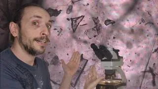 Miniature : LES INCLUSIONS dans les minéraux : observations sous microscope