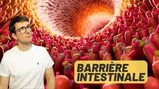 Miniature : Comment vos intestins vous protègent de nombreuses maladies ?
