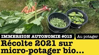 Miniature : Immersion Autonomie : autonomie alimentaire : mon micro-potager bio en permaculture : récoltes 2021