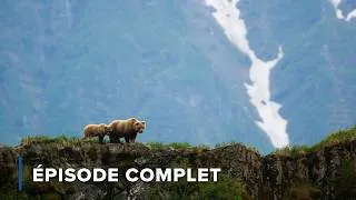 Miniature : Au Cœur des Plus Hautes Montagnes d'Amérique | Rocheuses sauvages 101