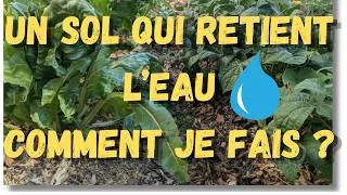 Miniature : Enfin de la pluie 😀😀