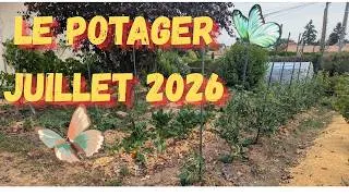 Miniature : La canicule au potager - Live de jeudi 9 juillet - Maud et Laurence