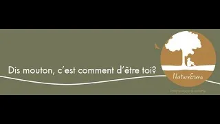 Miniature : Le comportement d'exploration chez le mouton