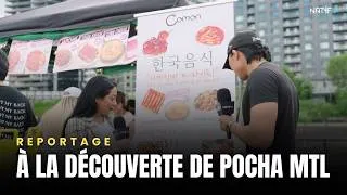 Miniature : À la découverte de Pocha MTL | Natyf TV