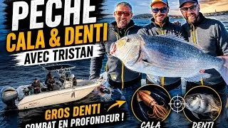 Miniature :     GROS DENTI EN MÉDITERRANÉE  SESSION CALA AVEC TRISTAN