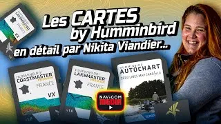 Miniature : Les cartes cartes by Humminbird en détail par Nikita