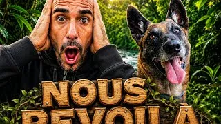 Miniature : NOS CHIENS COMPRENNENT-ILS LES PHRASES !?