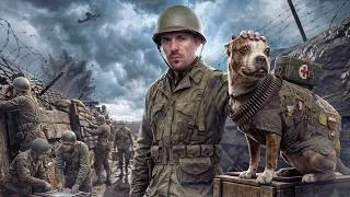 Miniature : Le chien errant devenu SERGENT de l'ARMÉE AMÉRICAINE