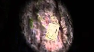 Miniature : *Dree* | Slender n°2 !