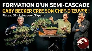 Miniature : CRÉATION SEMI-CASCADE : Gaby & Thierry & Yann transforment un Pin Sylvestre ! 🌱 NEJIKAN BONSAI 🌱