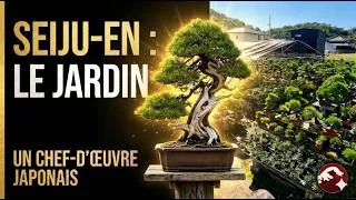 Miniature : Visite Privée au Jardin SEIJU-EN : L'Art Visionnaire de Kiyoshi Hiramatsu 🌱 NEJIKAN BONSAI 🌱