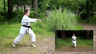 Miniature : Exercices kihon de base