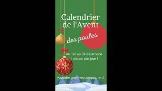Miniature : Santé des poules : toutes les astuces de l'Avent dans une seule vidéo (2022)