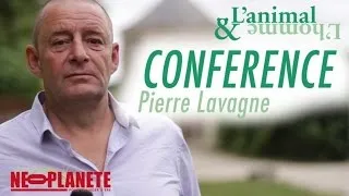 Miniature : Le message est dans le chant - Pierre Lavagne, bio-acousticien marin qui travaille avec les baleines