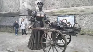 Miniature : Mon chapitre Irlandais