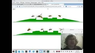Miniature : CS50x Final Project : "Asiat Hornet Target" a CSS3+JavaScript game to recognise Asiat Hornet