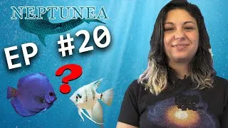 Miniature : NEPTUNEA Vlog EP20 - La population en eau douce
