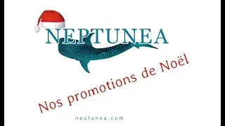 Miniature : Nos arrivages et promotions de Noël