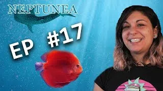 Miniature : NEPTUNEA Vlog EP17 - Conseils pour un aquarium d'eau douce