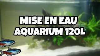 Miniature : DÉMARRAGE DE MON AQUARIUM 120L