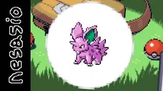 Miniature : nesasio joue à pokémon émeraude avec un randomizer (c'est la suite en gros)