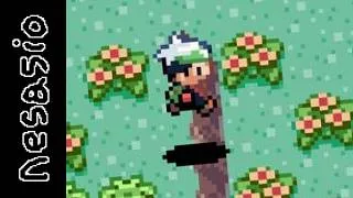 Miniature : nesasio tente un randomizer sur pokémon émeraude avec un mal de ventre (c'est génial)